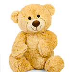 Click here for more information about Cuddly Stuffed Animal