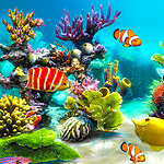 Click here for more information about Virtual Aquarium